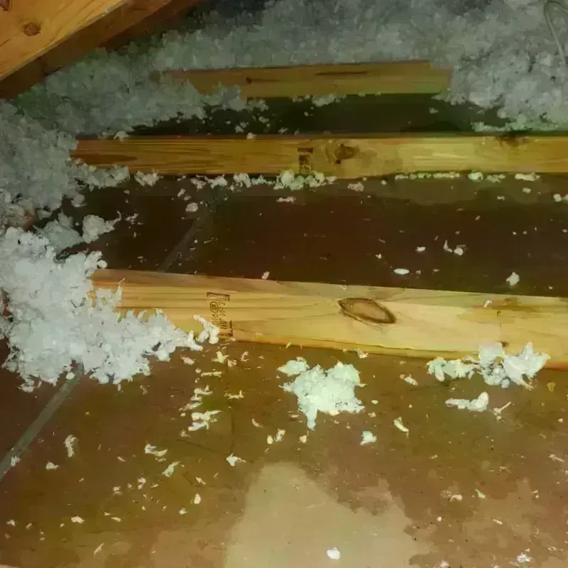 Attic Water Damage in Oak Park, IN